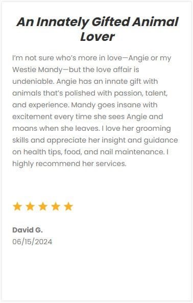 Professional pet sitting services in DFW area, trusted for loving care and animal expertise. Experienced pet caregiver with passion for animals and excellent customer reviews.