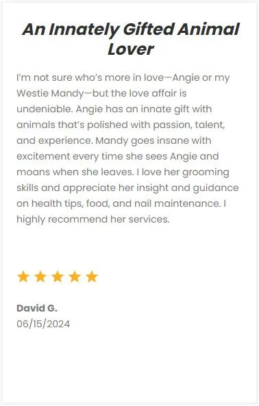 Professional pet sitting services in DFW area, trusted for loving care and animal expertise. Experienced pet caregiver with passion for animals and excellent customer reviews.