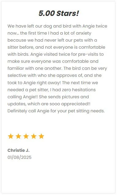 Professional pet sitting services in Dallas-Fort Worth, specializing in dog and bird care by reliable and experienced sitters at DFW Critter Sitter.