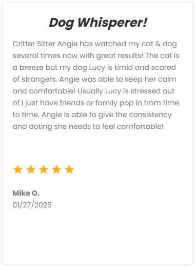 Reliable dog and cat sitting services in DFW by experienced critter sitter Angie, ensuring your pets feel comfortable and cared for when you're away.