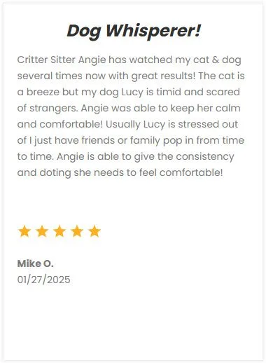Reliable dog and cat sitting services in DFW by experienced critter sitter Angie, ensuring your pets feel comfortable and cared for when you're away.