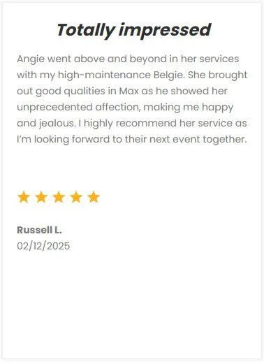 Reliable pet sitting services in DFW by expert pet care specialists, ensuring your pets are loved and well-cared for when you’re away.