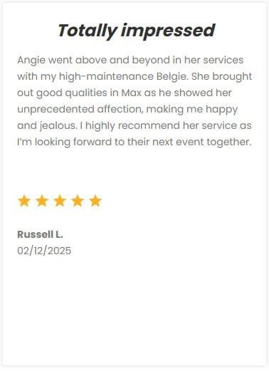 Outdoor dog walking and pet sitting services by DFW Critter Sitter in Dallas-Fort Worth, trusted by pet owners for exceptional care and reliable pet sitting solutions.