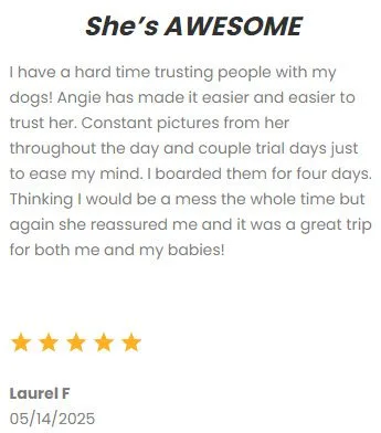 DFW Critter Sitter professional pet sitting service providing trusted care for dogs, cats, and small animals in the Dallas-Fort Worth area. Reliable, loving pet care when you need it.