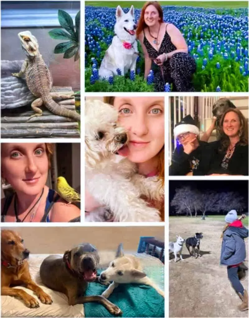 Adorable photos of pet sitting, dog walking, and pet care services by DFW Critter Sitter in Dallas-Fort Worth area. Happy pets and pet owners enjoying quality care and companionship.