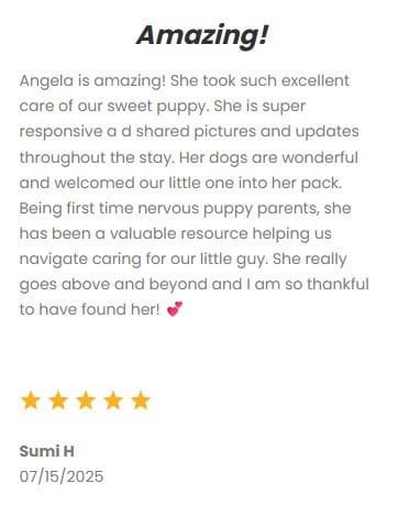 Reliable pet sitting service in DFW area, caring for dogs, cats, and small pets with love. Trusted by pet owners for exceptional care and attentive service.