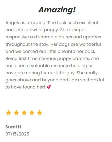 Reliable pet sitting service in DFW area, caring for dogs, cats, and small pets with love. Trusted by pet owners for exceptional care and attentive service.