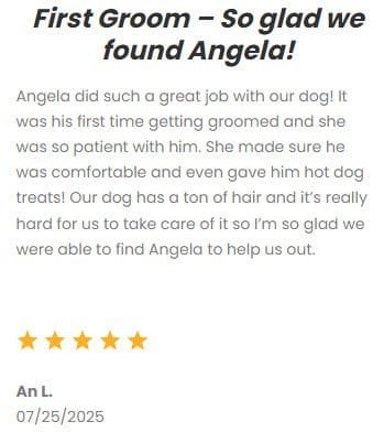 Professional pet grooming service in Dallas-Fort Worth, specializing in dog grooming, pet sitting, and caring for all breeds, providing a comfortable and loving environment for your pets.