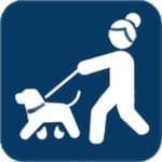 Dog walker with a leash in a parking lot, professional pet care, DFW Critter Sitter services.