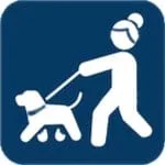 Dog walker with a leash in a parking lot, professional pet care, DFW Critter Sitter services.