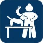 Gentle pet grooming with a dog and groomer using a brush, showcasing professional pet care services at DFW Critter Sitter.