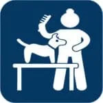 Gentle pet grooming with a dog and groomer using a brush, showcasing professional pet care services at DFW Critter Sitter.