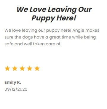 Friendly dog and puppy care services provided by DFW Critter Sitter in Dallas, TX, ensuring safety, comfort, and love during pet owners' absence.