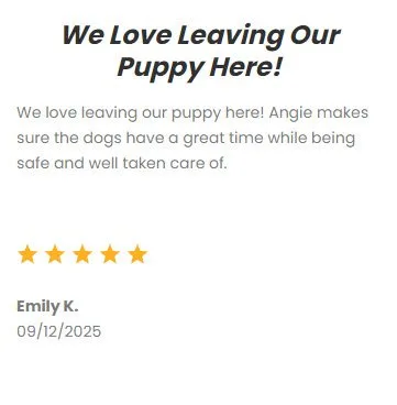 Friendly dog and puppy care services provided by DFW Critter Sitter in Dallas, TX, ensuring safety, comfort, and love during pet owners' absence.