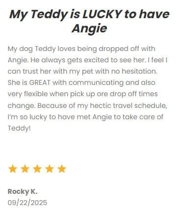 Dog care services in Dallas-Fort Worth, Texas, by DFW Critter Sitter emphasizing trusted pet sitting, dog walking, and pet transportation for a reliable pet care experience.