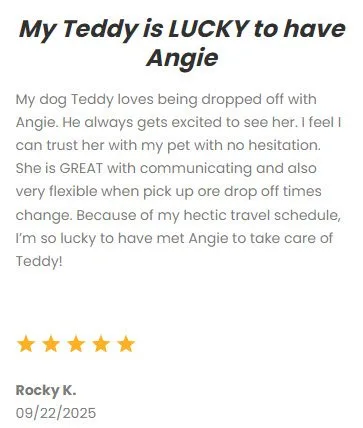 Dog care services in Dallas-Fort Worth, Texas, by DFW Critter Sitter emphasizing trusted pet sitting, dog walking, and pet transportation for a reliable pet care experience.