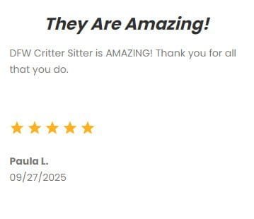 Dog and cat sitting services by DFW Critter Sitter, professional pet care provider in Dallas-Fort Worth.