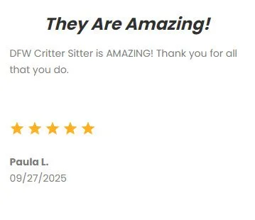 Dog and cat sitting services by DFW Critter Sitter, professional pet care provider in Dallas-Fort Worth.