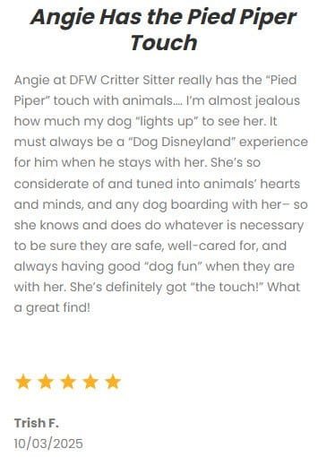 DFW Critter Sitter dog walking and pet care service specializing in attentive, loving care for pets in Dallas-Fort Worth area. Trusted by pet owners for reliable, professional pet sitting and dog walking services.