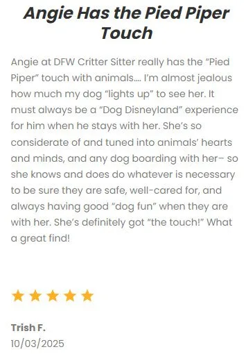 DFW Critter Sitter dog walking and pet care service specializing in attentive, loving care for pets in Dallas-Fort Worth area. Trusted by pet owners for reliable, professional pet sitting and dog walking services.