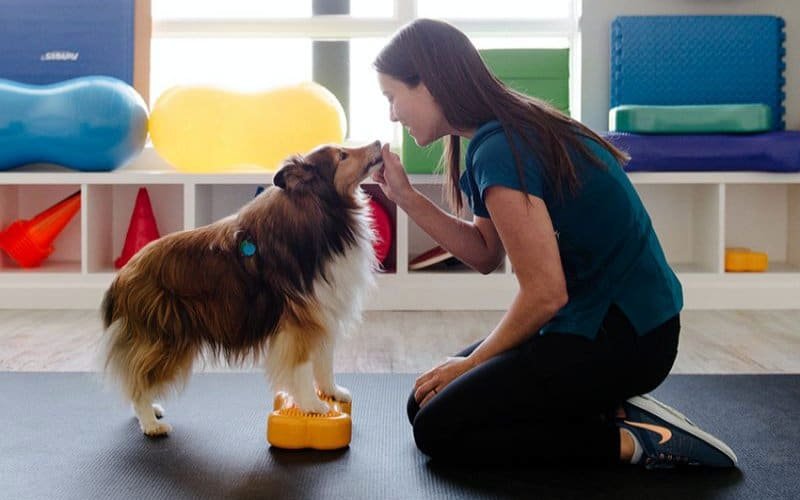 Woman practicing somatic exercises with her dog to reduce stress and anxiety, promoting relaxation and bonding during the holidays.