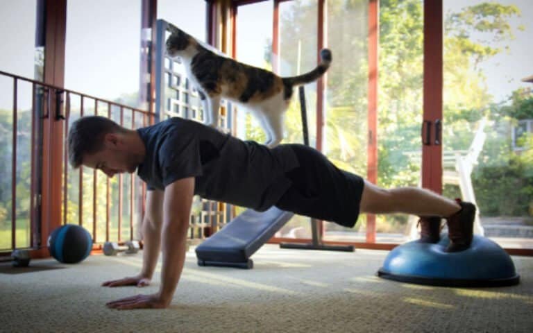 Man performing somatic exercises with his cat on his back to help reduce stress, tension, and anxiety in pets during the holidays.