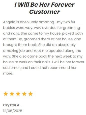 “DFW Critter Sitter customer review – Angela provides exceptional mobile pet grooming and nail care, 5-star testimonial from Crystal A, December 2025.”