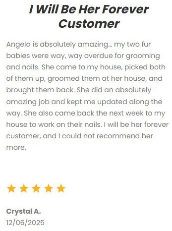Customer testimonial praising Angela's exceptional dog grooming services for two fur babies, highlighting her dedication, professionalism, and the positive experience.