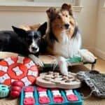 Two dogs relaxing on a pet bed surrounded by toys and pet supplies during winter storm, emphasizing indoor safety and comfort for pets in DFW.