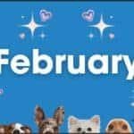Celebrating February pet holidays with adorable dogs and cats in Texas, highlighting the importance of pet care and awareness during special pet observance days.