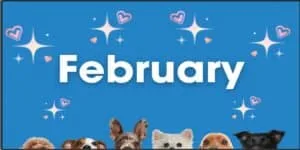 Celebrating February pet holidays with adorable dogs and cats in Texas, highlighting the importance of pet care and awareness during special pet observance days.