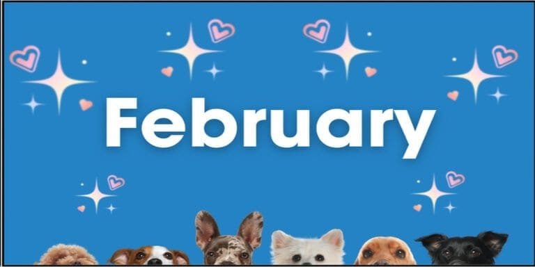 Celebrating February pet holidays with adorable dogs and cats in Texas, highlighting the importance of pet care and awareness during special pet observance days.
