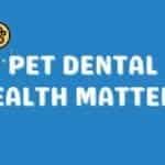 Illustration with text: Pet Dental Health Matters, featuring a toothbrush, toothpaste, and paw icons.