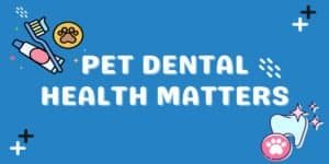 Illustration with text: Pet Dental Health Matters, featuring a toothbrush, toothpaste, and paw icons.