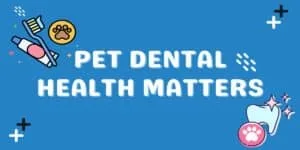 Illustration with text: Pet Dental Health Matters, featuring a toothbrush, toothpaste, and paw icons.