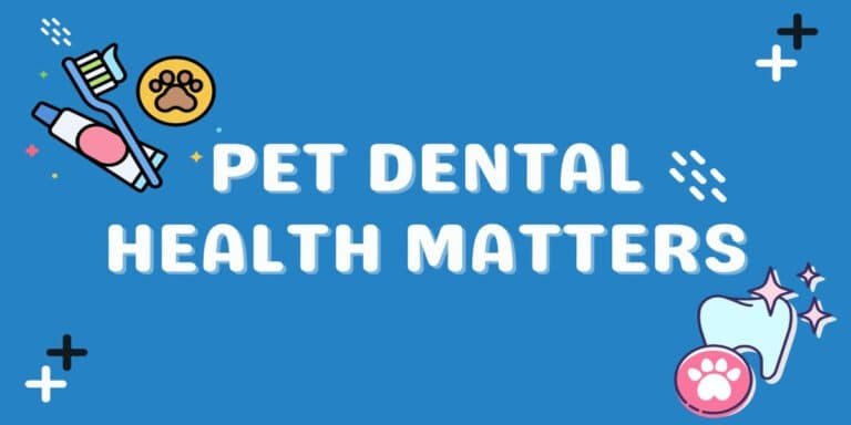 Illustration with text: Pet Dental Health Matters, featuring a toothbrush, toothpaste, and paw icons.
