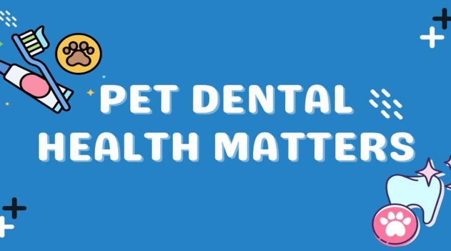 Illustration with text: Pet Dental Health Matters, featuring a toothbrush, toothpaste, and paw icons.