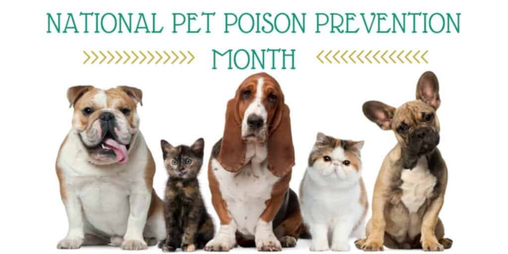 Banner for National Pet Poison Prevention Month featuring three dogs and two cats against a white background.