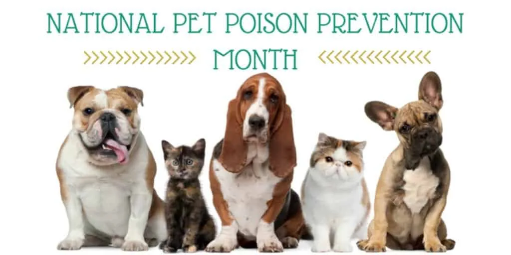 Banner for National Pet Poison Prevention Month featuring three dogs and two cats against a white background.