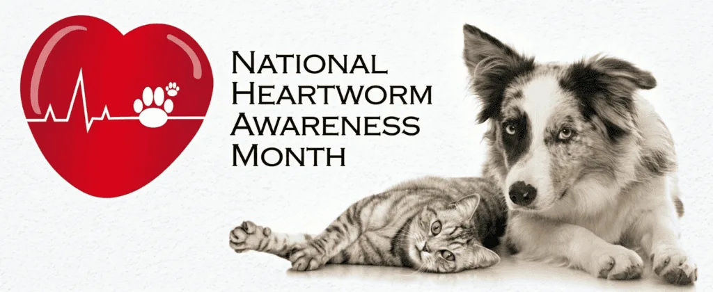 National Heartworm Awareness Month – dog and cat promoting heartworm prevention