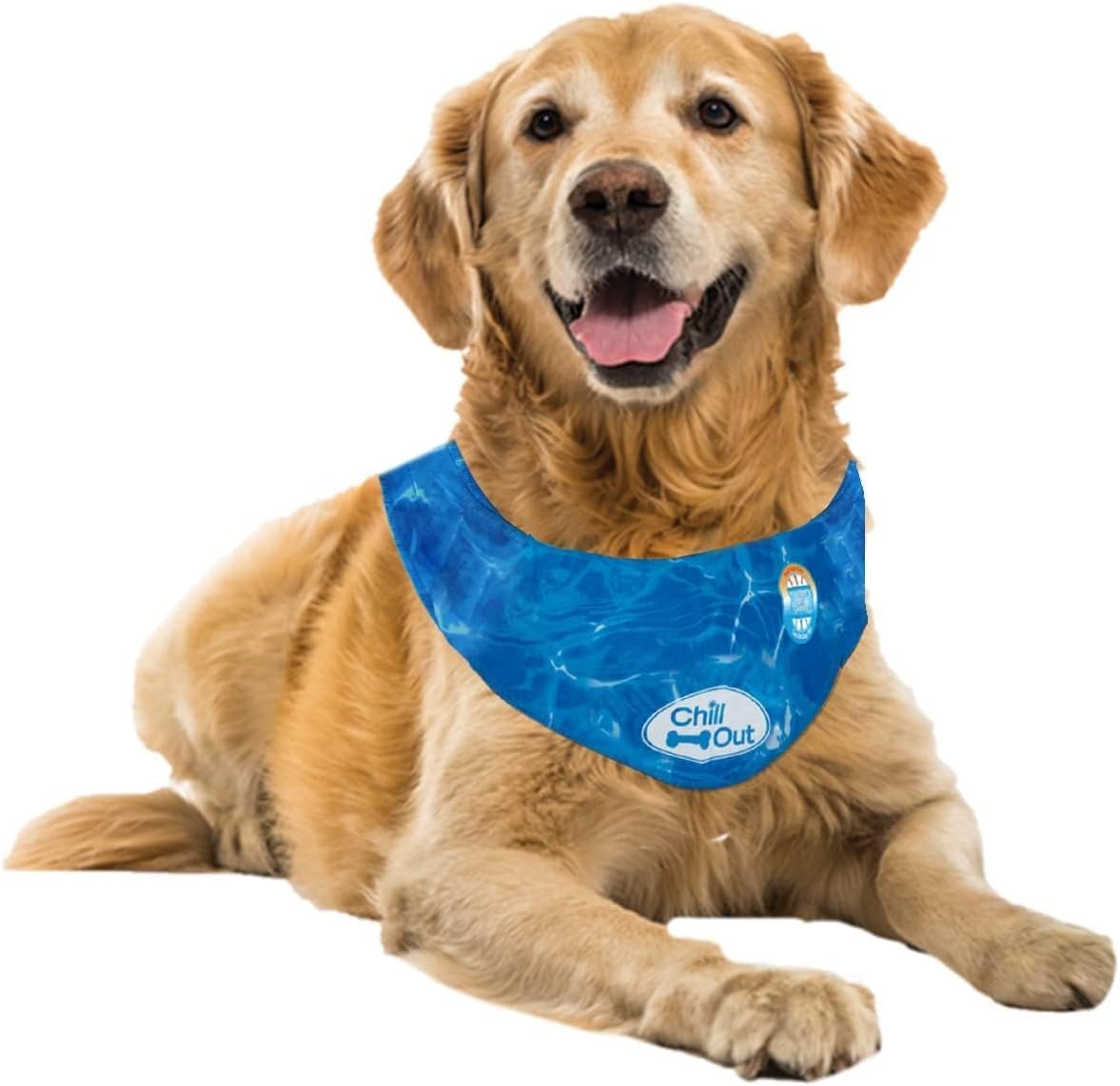 Dog Cooling Bandana