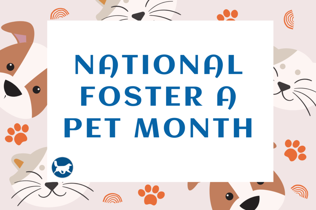 Graphic with a white central banner reading "NATIONAL FOSTER A PET MONTH" in bold blue lettering. The background is a soft beige pattern featuring illustrated dog and cat faces, orange paw prints, and rainbows. A small blue circular pet silhouette logo sits in the bottom left corner.