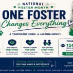 Adorable puppy promoting National Foster Month with messages about fostering pets in Texas and Oregon.