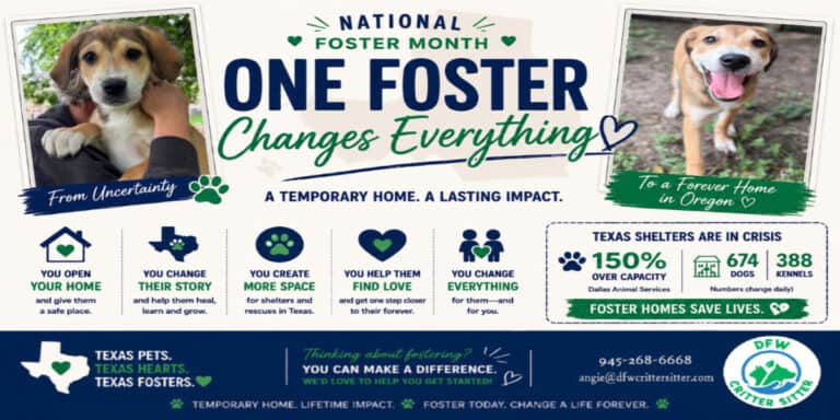 Adorable puppy promoting National Foster Month with messages about fostering pets in Texas and Oregon.