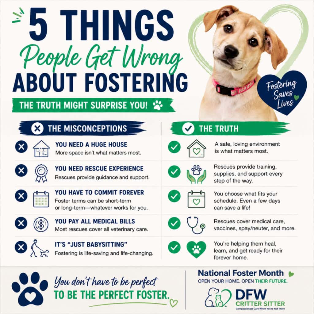 Infographic listing misconceptions and truths about fostering, including needing a big house, rescue experience, and paying medical bills, with a focus on fostering benefits.